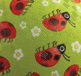 Crocidile Creek GO PLAY!- Large Lady Bug Print Bounce Ball